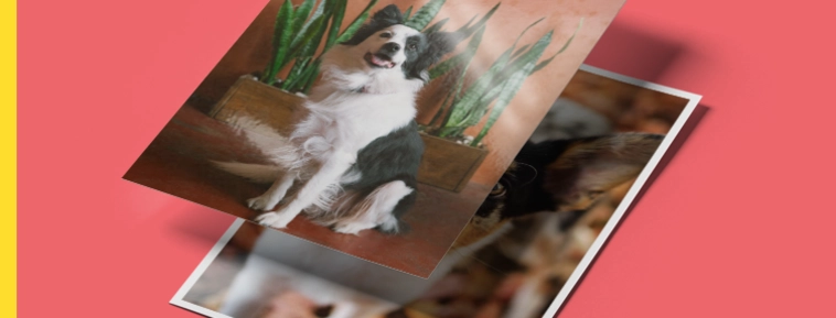 Класическо фоторазпечатване